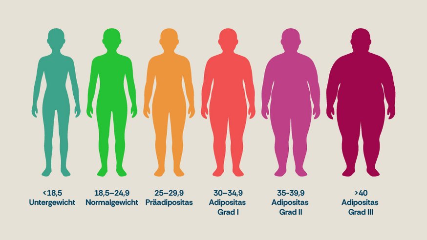 Grafik mit Darstellung der unterschiedlichen BMI-Werte