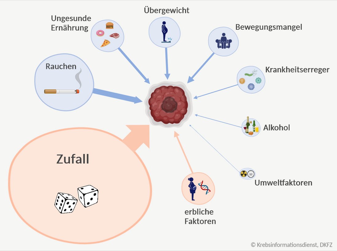 Darstellung von Faktoren, die Krebs begünstigen können. Die Faktoren haben unterschiedlich große Kreise, je nach deren Einfluss. Der größte Kreis ist der "Zufall".