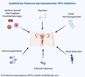Darstellung mit den zusätzlichen Faktoren, die Gebärmutterhalskrebs begünstigen können